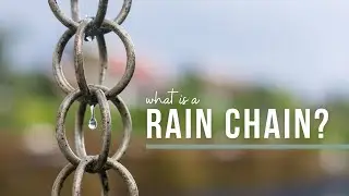 How to Stop Rain From Washing Away Your Yard | Catherine Arensberg