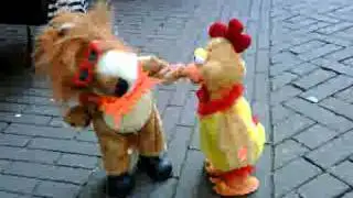 Dog serenades Duck