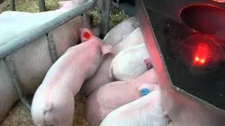 Поиск места под лампой