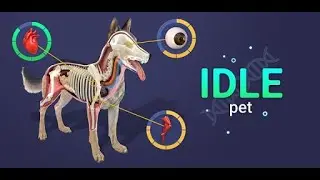Idle Pet - Create cell by cell, CHEATS free Diamonds Cat evolution!