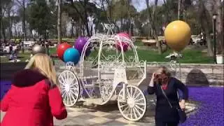 Emirgan parkı 2018\lale festival nissan 2018 istanbul #Стамбул #Турция #живетвСтамбуле