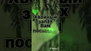 Доброй ночи!!!