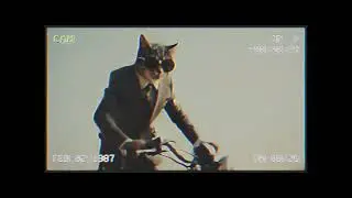 Cat Tom and russian Misha