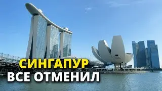 О последних новостях в Сингапуре: маски и вакцины больше не нужны
