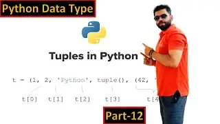 Python Data Type: Comprehensive Exploration of 