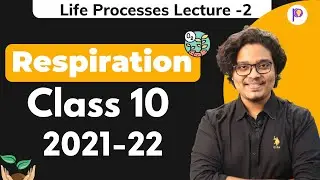 Respiration Class 10 | Life Processes Class 10 2021-22 | Biology