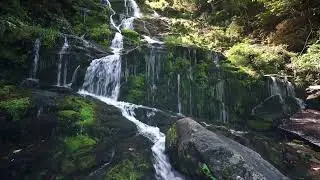 Running Creek water for Sleep Music for 8 Hours • Relaxing Music, Sleeping Music
