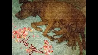 Помет Б - Мы родились
