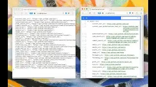 JSON Beautifier & Editor - Browser Extension Preview