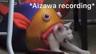 Rare bnha vines that Thanos gave to me