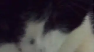 In Deep Thought