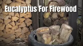 Splitting Eucalyptus  Firewood For Winter 2025 - Hulatfors Splitting Sledge -Moisture Meter Tips