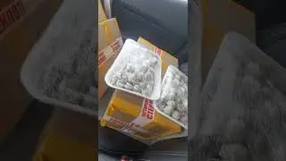 Отправляю яйца победителям, конкурса❤️❤️❤️ #перепелка