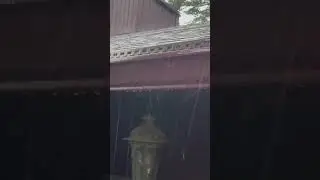 Bronze gutter guard over red gutters