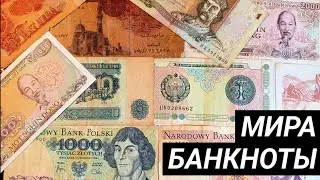 Моя коллекция иностранных банкнот. История, цены, номинал. Банкноты МИРА.