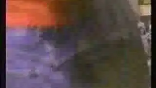 Sabrina Long- 2001 US Classic FX