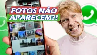 Fotos do WhatsApp NÃO Aparecem na Galeria