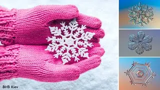 3 идеи Снежинки из клея как настоящие. Как сделать ПРОСТЫЕ СНЕЖИНКИ / НОВОГОДНИЕ ПОДЕЛКИ