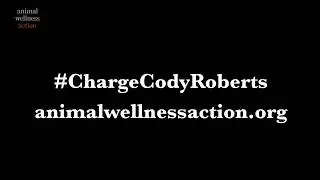 Heartbreaking Footage Released of Cody Roberts Torturing the Wyoming Wolf