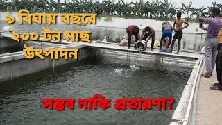 আই পি আর এসে মাছ চাষ-Fish farming in IPRS 