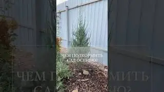 Чем подкормить сад осенью? #garden #сад