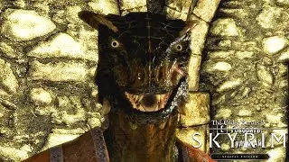 СКОЛЬЗКАЯ ЯЩЕРИЦА ◈ The Elder Scrolls 5: Skyrim. Special Edition #47