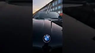 #bmw #алтай