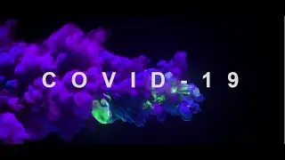 CSS Text Animation