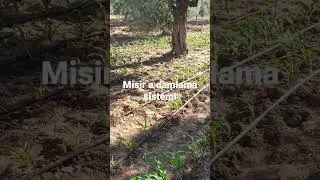 6 Eylül 2022