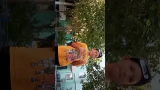 6 сентября 2023 г.