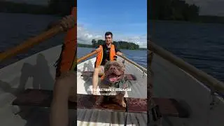Вот она, реальность 😄 но нам все равно понравилось отдыхать с Зевсом 🤍