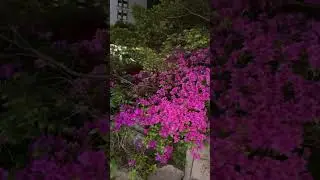 Города - Осан - Корея 🇰🇷