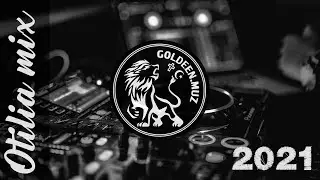 Otilia - Bilionera (Ricii Lompeurs Remix) (GOLDEN MUZ) 2021