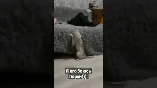 вызывайте экзорциста)))