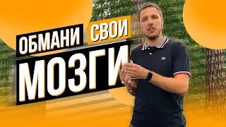 Взлет продаж обманом мозга