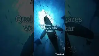 #vibe #letgo #viral #shorts #Qual desses desses lugares Vc queria estar Agora?
