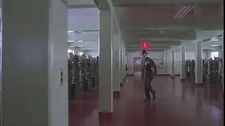 Реакция на @everyone в Discord