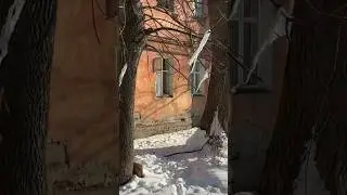 ЧТО ОЗНАЧАЮТ БИНТЫ НА ДЕРЕВЬЯХ?