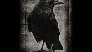 D Maniac - Big Black Bird