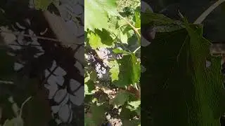 10 сентября 2024 г.