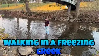 Walking in a freezing creek!!
