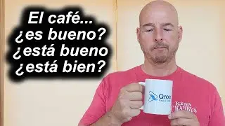 ¿Qué tal la comida? (How's the food?)
