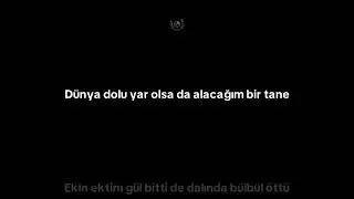 Barış Manço - Çıt Çıt Çedene - Sözleri
