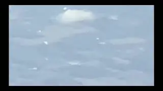 UFO ovni Michigan 17 11 21
