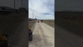 Два Авантиса 125сс против 200сс✌️ гонка на квадроциклах!