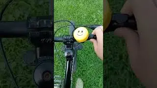 17 августа 2024 г.