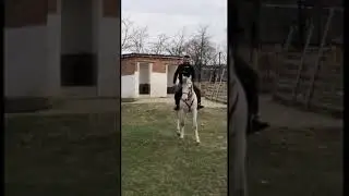 Тест драйв 282. 