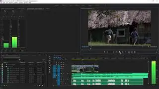 Adobe Premiere -  Make simple audio adjustments