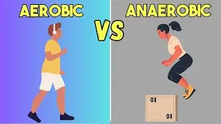 Aerobic vs Anaerobic Exercises: The Key Differences Explained