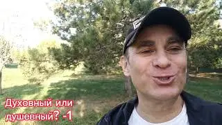 Духовный или душевный? - 1